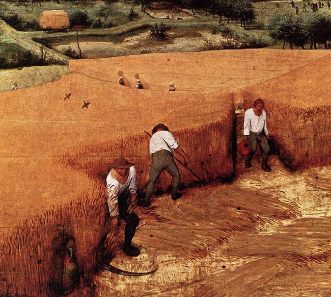 Pieter Bruegel the Elder The Corn Harvest